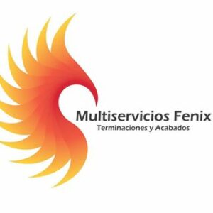 Multiservicios Fenix contratista de impermeabilización